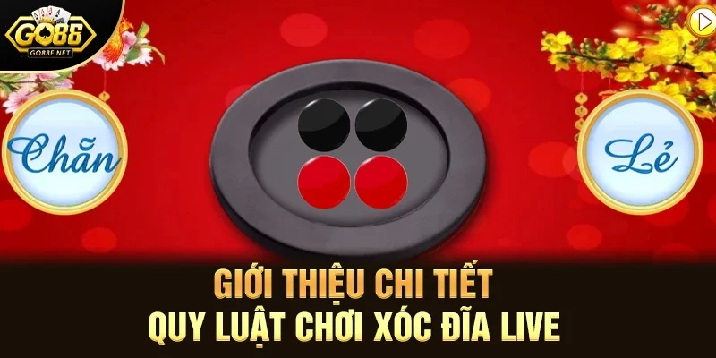 Xóc Đĩa Live - Chia Sẻ Mẹo Thắng Lớn Trong Không Gian Trực Tuyến