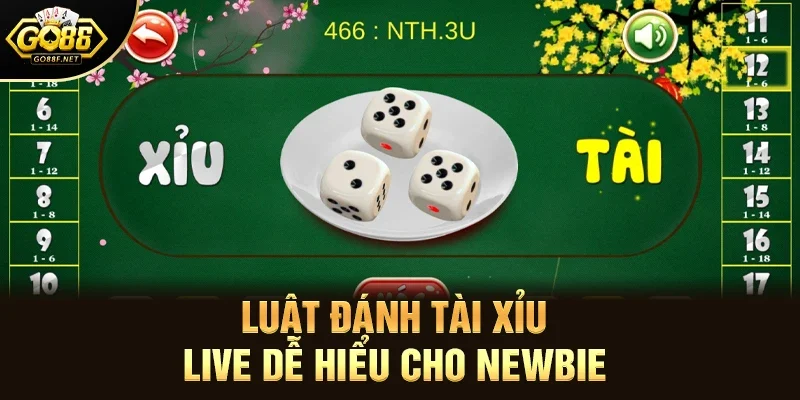 Luật đánh Tài xỉu live dễ hiểu cho newbie